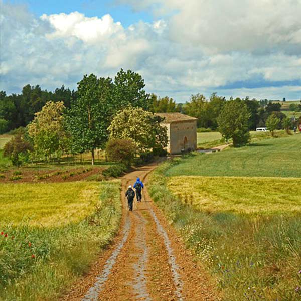 Wanderer auf dem Jakobsweg